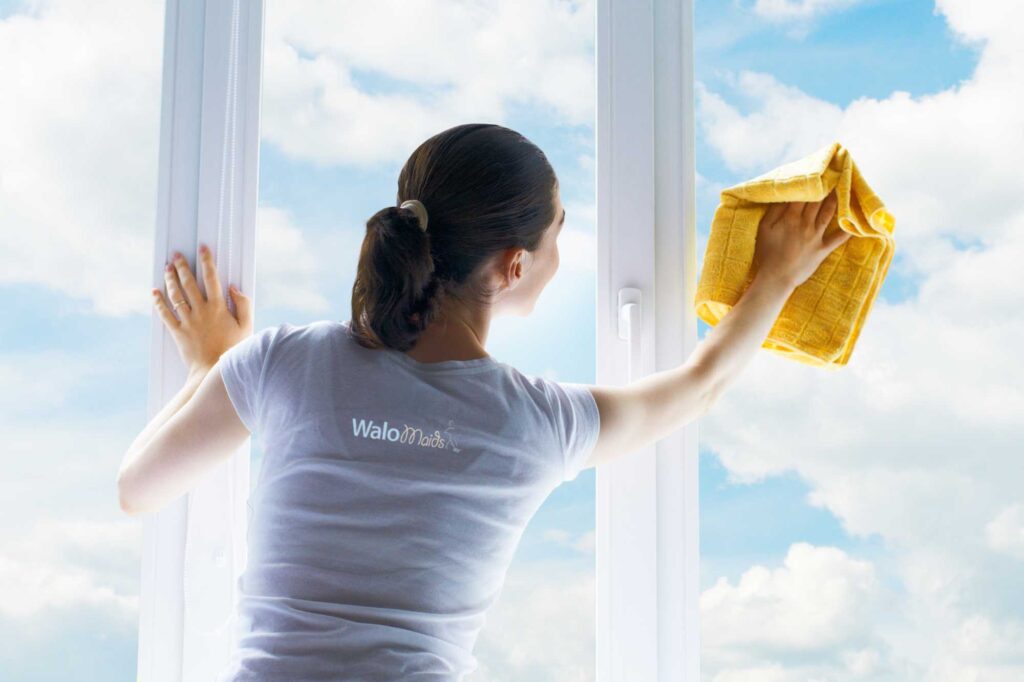 Gloved Hands Cleaning Window with Bright Background