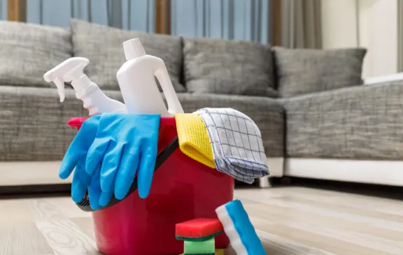 services-standard-cleaning