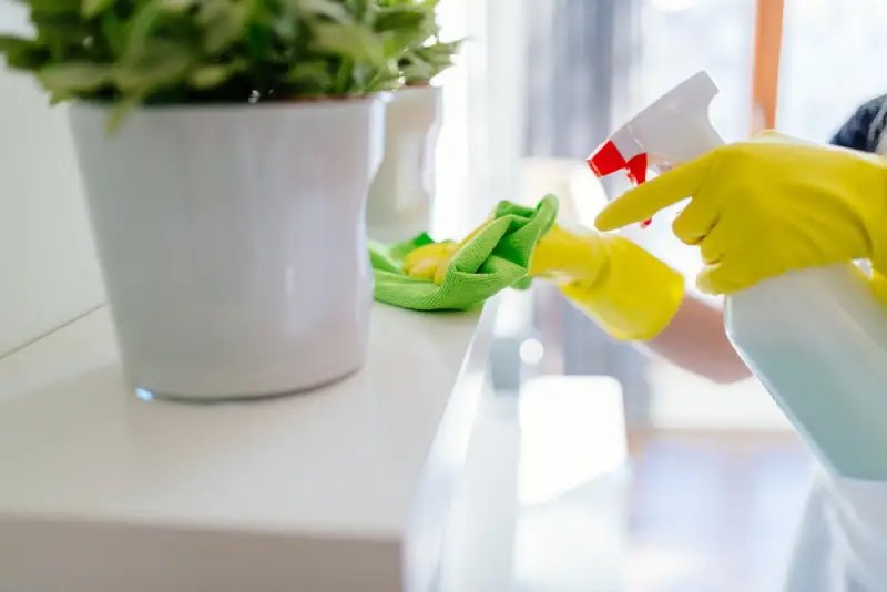 When Is It the Right Time for a Cleaning? 1 best-time-to-clean